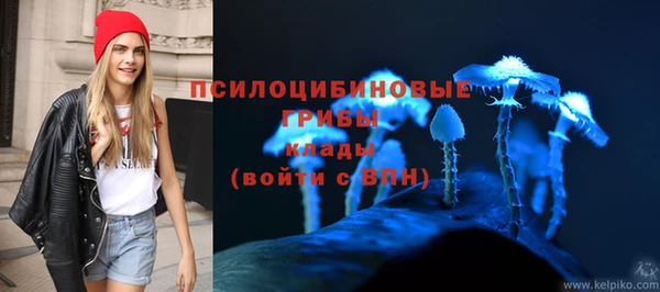 PSILOCYBIN Балабаново