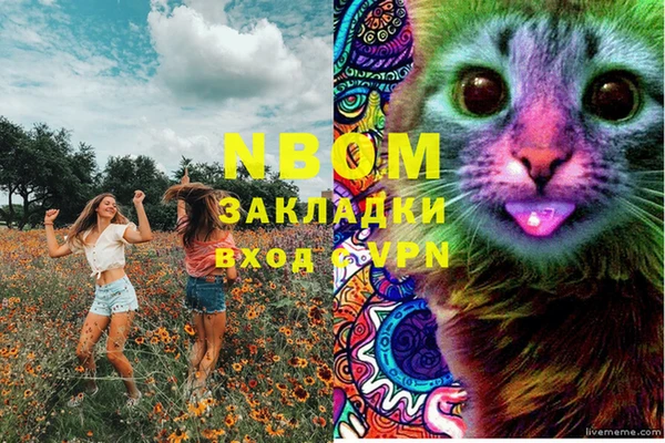 PSILOCYBIN Балабаново