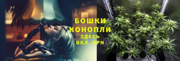 прущие крисы Балахна